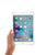 Apple iPad Mini 4 / 7.9 inch 64GB (late 2015) Silver Wi-Fi + Sim (Produkt Vitrine)