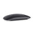 Maus Apple Magic Mouse 2  Space gray
