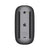 Maus Apple Magic Mouse 2  Space gray