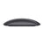 Maus Apple Magic Mouse 2  Space gray