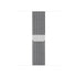 Rrip Milanese Wristband for Apple Watch 42mm/44mm - Silver