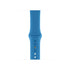 Rrip Silicone Wristband for Apple Watch 42mm/44mm - Blue