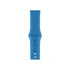 Rrip Silicone Wristband for Apple Watch 42mm/44mm - Blue