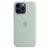 Kover Apple iPhone 14 Pro Max Silicone Case - Succulent