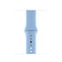 Rrip Apple Watch Wristband 42mm | 44mm Sky Blue Sport Band